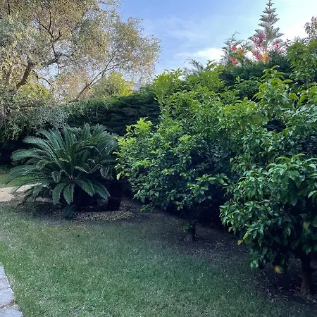 Villa Fenix